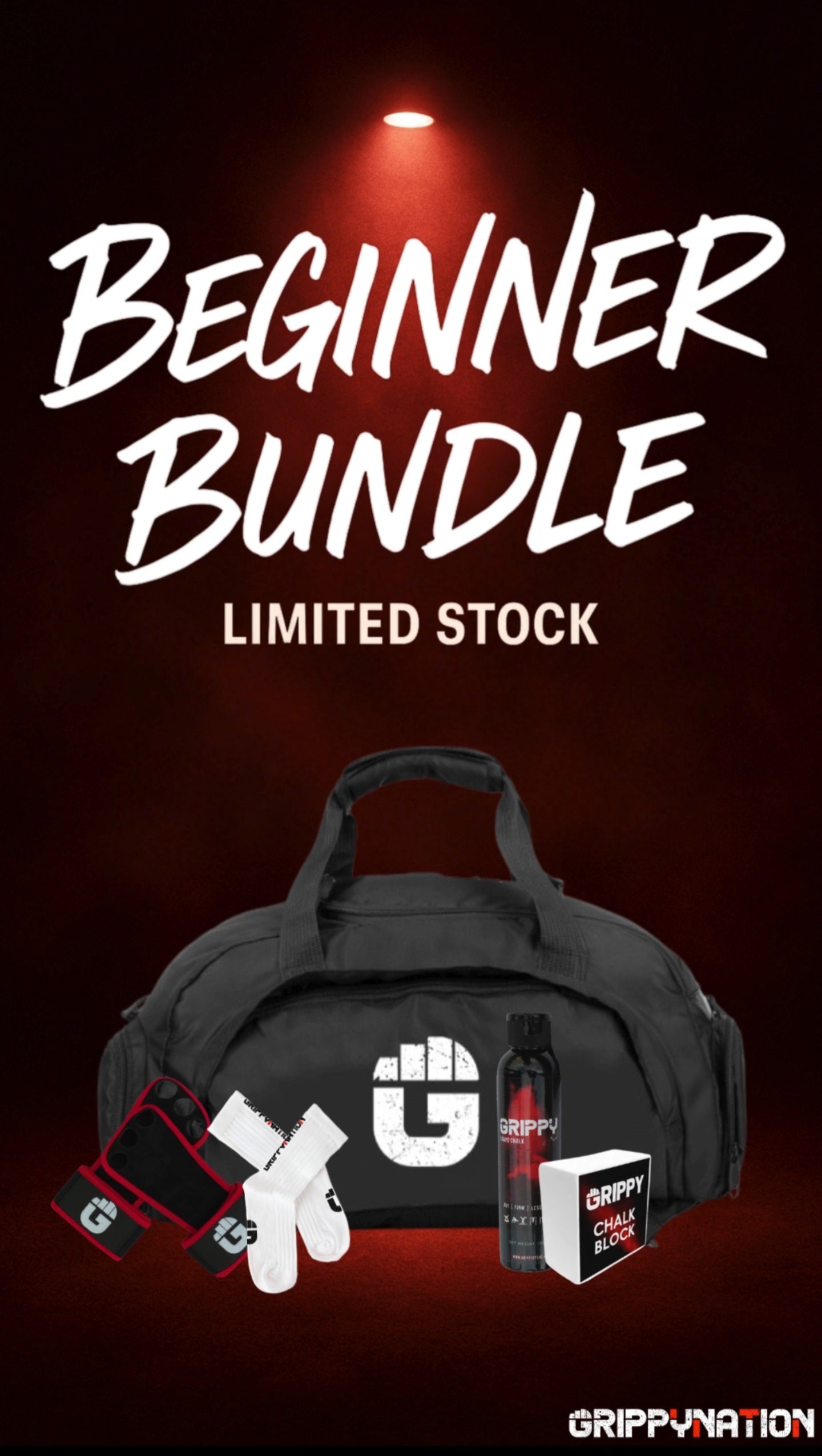 Calisthenics Beginner Bundle